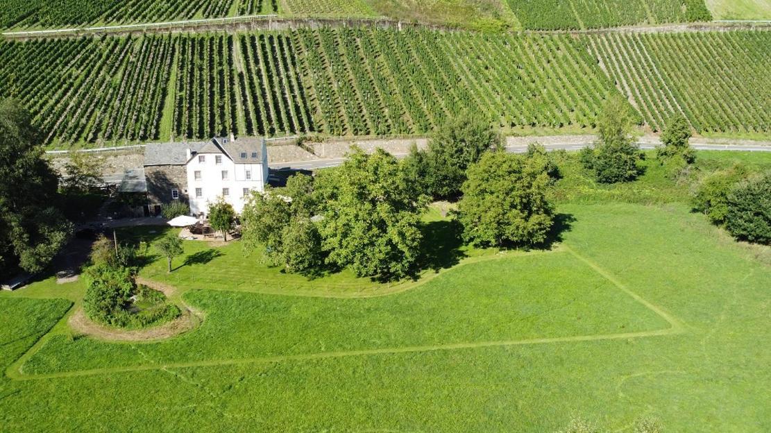 Livi'S Landhaus Neumagen-Dhron Εξωτερικό φωτογραφία